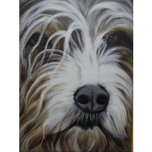 Herr Krause, 50 x 40 cm