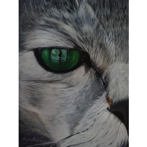 I am a Tiger, 40 x 50 cm